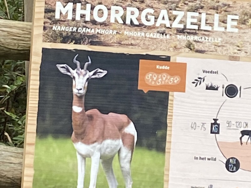 Examenopdracht in Blijdorp
