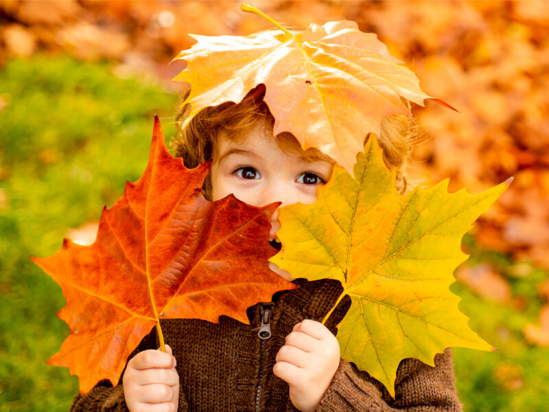 Fijne herfstvakantie!